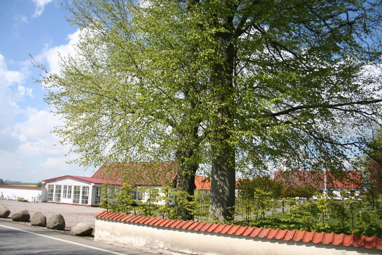 Bed & Breakfast Hoby Gard
